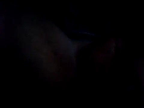 Snapshot of vidcasga chatting on May 6, 2026, 4:38 am vidcasga online show from May 6, 2026, 4:38 am