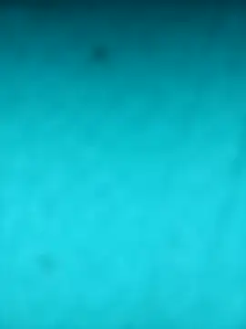 scarlett leex  online show from April 12, 2026, 8:28 am