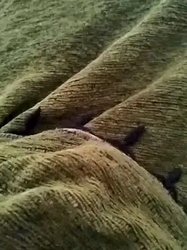 detasuta online show from March 7, 2026, 3:46 am