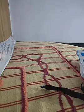 Snapshot of Tamillaxmi12 chatting on March 6, 2026, 12:55 pm Tamillaxmi12 online show from March 6, 2026, 12:55 pm