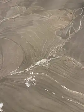 sharks90 online show from April 10, 2026, 4:08 am