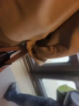 Snapshot of PublicMarekFlashDick chatting on May 8, 2026, 6:39 am PublicMarekFlashDick online show from May 8, 2026, 6:39 am