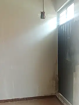 hacheshx online show from March 16, 2026, 3:37 pm