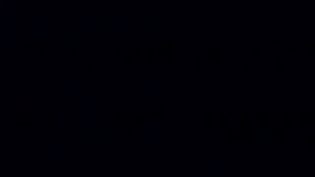 Snapshot of A_model1 chatting on May 29, 2026, 2:56 pm A model1 online show from May 29, 2026, 2:56 pm