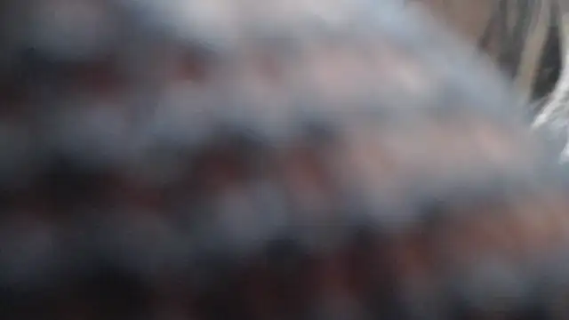 Snapshot of Britanylovee chatting on March 27, 2026, 2:51 pm Britanylovee online show from March 27, 2026, 2:51 pm