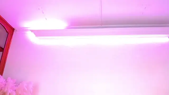 Rebeldana online show from March 14, 2026, 10:54 am