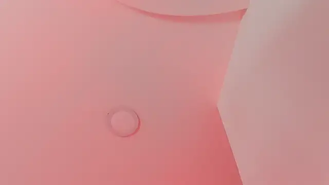 Elis Cioccolato online show from March 25, 2026, 8:52 pm