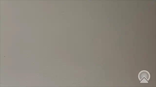 Shynesse21 online show from March 26, 2026, 11:41 am