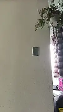 La-venus online show from April 13, 2026, 1:59 pm