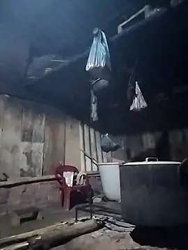 Lanin-i online show from March 29, 2026, 12:29 pm