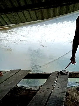 Snapshot of kalara_kail chatting on March 25, 2026, 4:56 am kalara kail online show from March 25, 2026, 4:56 am