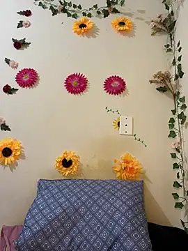 SpidderSecret online show from April 3, 2026, 6:42 am