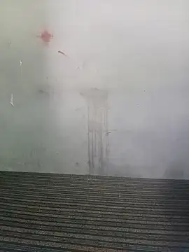 Snapshot of School_teacher12 chatting on March 19, 2026, 8:36 am School teacher12 online show from March 19, 2026, 8:36 am