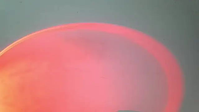 srghost333 online show from March 26, 2026, 3:05 am