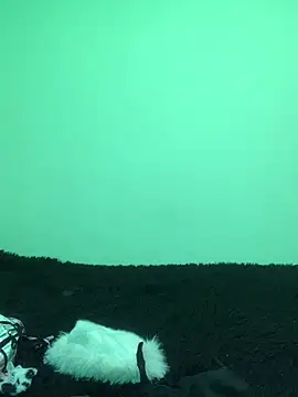 Snapshot of -Jack_Zoe- chatting on April 14, 2026, 12:54 pm -Jack Zoe- online show from April 14, 2026, 12:54 pm