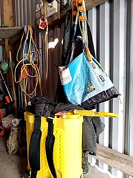 Cute-flowers online show from April 13, 2026, 12:36 am