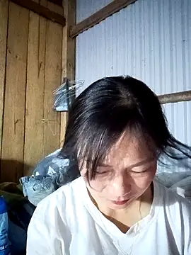 Cute-flowers online show from March 31, 2026, 1:13 pm