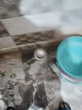 Atokxon online show from April 12, 2026, 7:06 pm