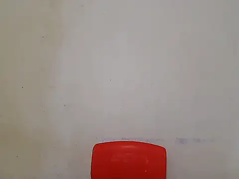 Sara sesy online show from April 17, 2026, 8:17 am