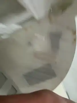 sikiciadana0121 online show from April 1, 2026, 3:09 pm