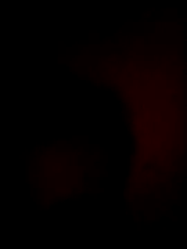 black rock cock online show from July 27, 2026, 11:12 pm