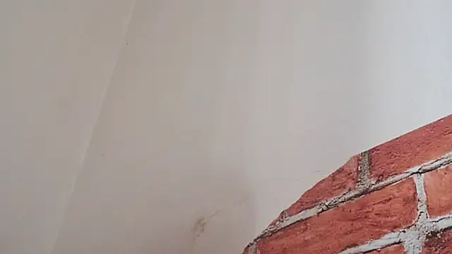 Sueliton2 online show from March 28, 2026, 5:36 pm