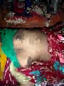 deshi girl 2007 online show from April 16, 2026, 8:37 am