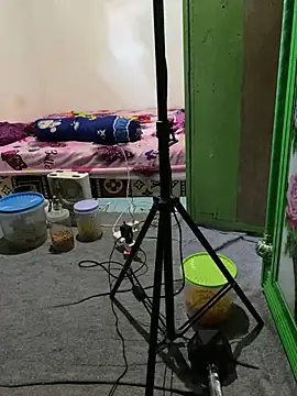 tukangcoli31 online show from April 13, 2026, 12:03 am