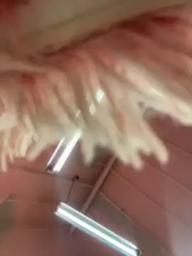 Victoria Vega   online show from April 17, 2026, 12:30 pm