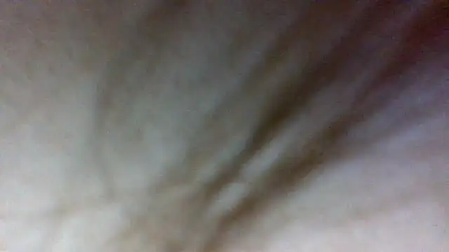 shag369 online show from April 21, 2026, 6:14 pm