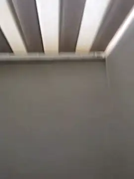 maia lion online show from April 16, 2026, 5:47 pm