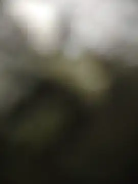 FishingWakening online show from July 22, 2026, 5:37 pm