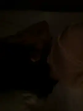 Snapshot of tanhualang001 chatting on April 15, 2026, 12:05 am tanhualang001 online show from April 15, 2026, 12:05 am