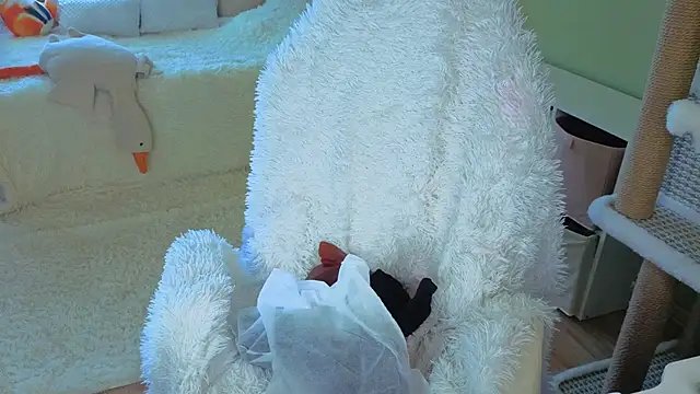 Regina Noire online show from April 9, 2026, 10:32 am