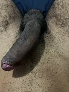 Snapshot of profetabr26 chatting on August 6, 2026, 11:33 pm profetabr26 online show from August 6, 2026, 11:33 pm