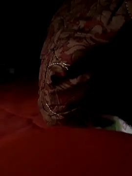 Snapshot of -Bianmi- chatting on April 6, 2026, 11:17 pm -Bianmi- online show from April 6, 2026, 11:17 pm