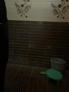 singh sahab 202 online show from April 15, 2026, 6:08 am