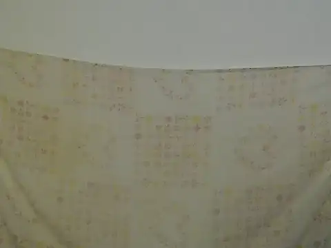 Daniellesafada online show from April 17, 2026, 12:02 am