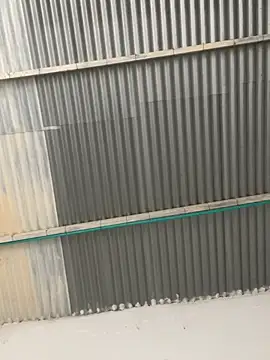 RAMONA and ROGER online show from April 16, 2026, 1:34 pm