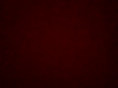 Teeh998712 online show from April 5, 2026, 8:48 pm