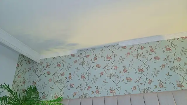 VegaSara online show from April 15, 2026, 8:20 pm