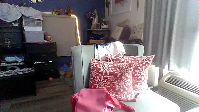 Dicksee Left online show from April 29, 2026, 3:49 pm
