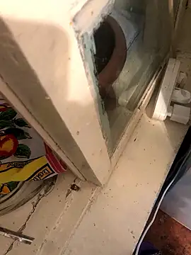 katilikat online show from April 17, 2026, 11:40 pm