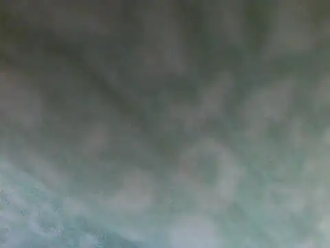 Short-V online show from April 17, 2026, 8:11 pm