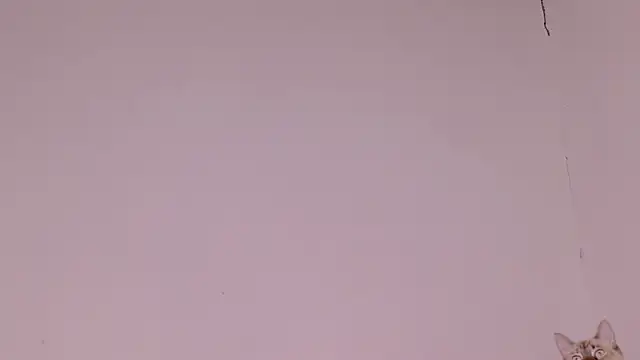 Snapshot of MayGibsson chatting on August 8, 2026, 12:23 pm MayGibsson online show from August 8, 2026, 12:23 pm