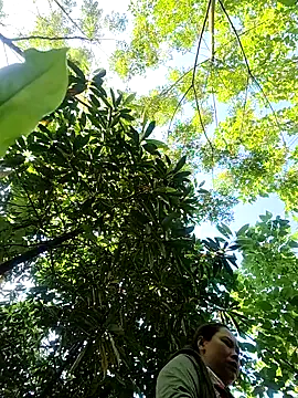 Banana-zz online show from May 25, 2026, 11:36 pm