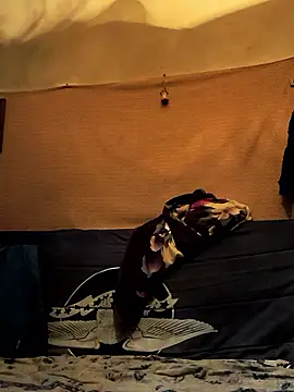 Snapshot of Sarpe123456 chatting on June 18, 2026, 2:32 am Sarpe123456 online show from June 18, 2026, 2:32 am