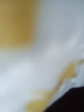 Snapshot of Lidia3590 chatting on June 8, 2026, 11:11 am Lidia3590 online show from June 8, 2026, 11:11 am