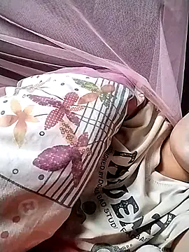 Caily-ly online show from July 1, 2026, 3:29 am