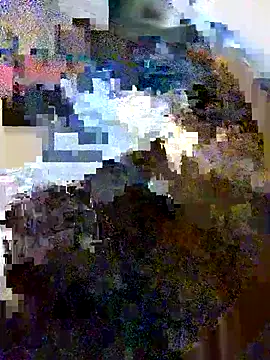 Snapshot of LonesomeMegawatt chatting on May 21, 2026, 10:01 am LonesomeMegawatt online show from May 21, 2026, 10:01 am
